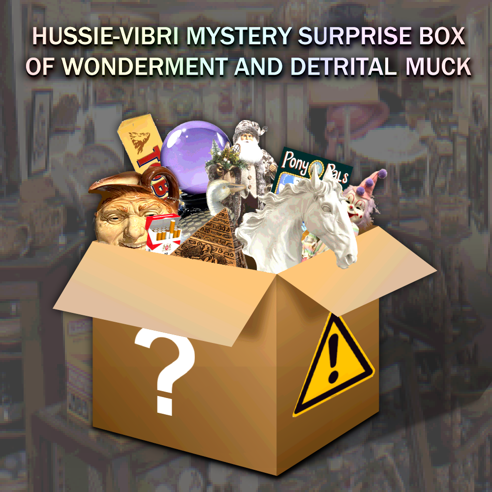 Hussie-Vibri Mystery Surprise Box